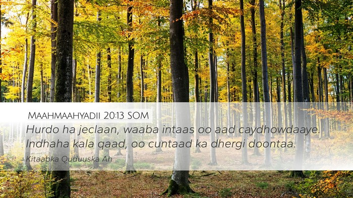Maahmaahyadii 20:13 SOM Bible Verse Image