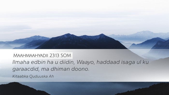 Maahmaahyadii 23:13 SOM Bible Verse Image