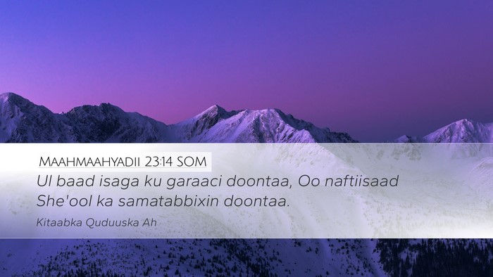 Maahmaahyadii 23:14 SOM Desktop Wallpaper - Ul baad isaga ku garaaci doontaa, Oo naftiisaad - Desktop Bible Verse Wallpaper
