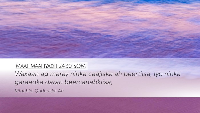 Maahmaahyadii 24:30 SOM Bible Verse Image