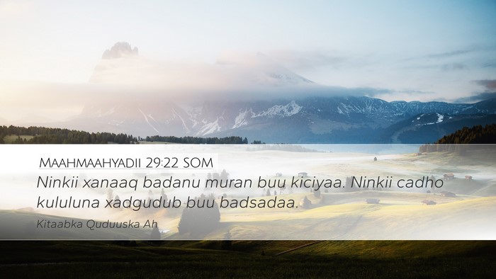 Maahmaahyadii 29:22 SOM Bible Verse Image