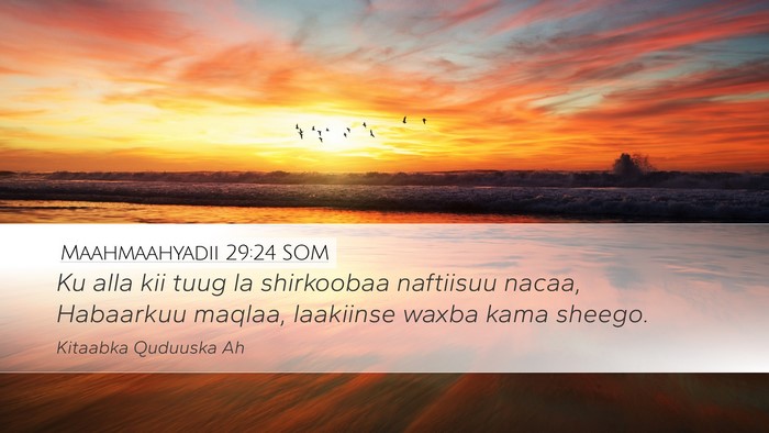 Maahmaahyadii 29:24 SOM Bible Verse Image
