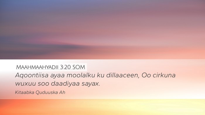 Maahmaahyadii 3:20 SOM Desktop Wallpaper - Aqoontiisa ayaa moolalku ku dillaaceen, Oo - Desktop Bible Verse Wallpaper