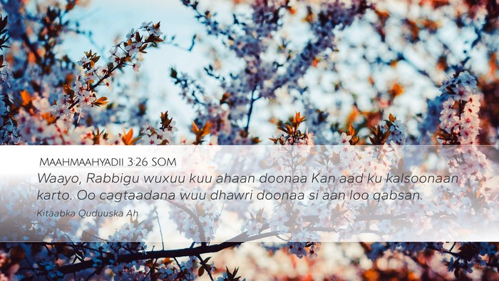 Maahmaahyadii 3:26 SOM Bible Verse Image