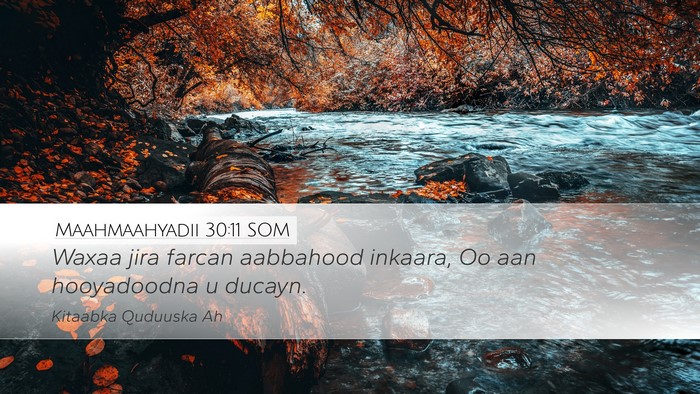 Maahmaahyadii 30:11 SOM Bible Verse Image