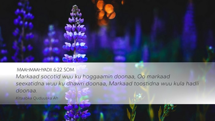 Maahmaahyadii 6:22 SOM Bible Verse Image