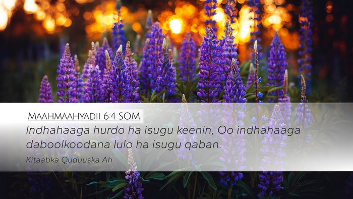 Maahmaahyadii 6:4 SOM Bible Verse Image