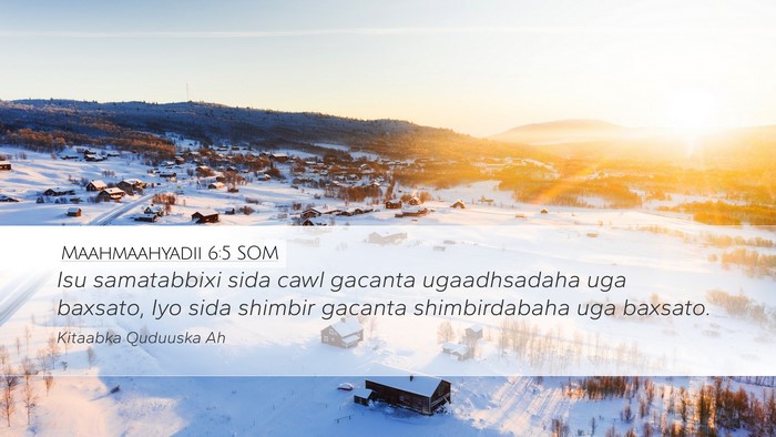 Maahmaahyadii 6:5 SOM Bible Verse Image