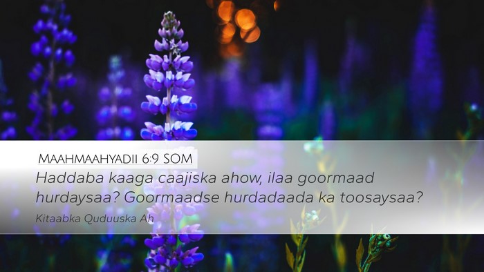 Maahmaahyadii 6:9 SOM Bible Verse Image