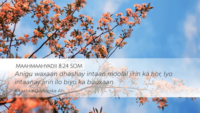 Maahmaahyadii 8:24 SOM Desktop Wallpaper - Anigu waxaan dhashay intaan moolal jirin ka hor, - Desktop Bible Verse Wallpaper