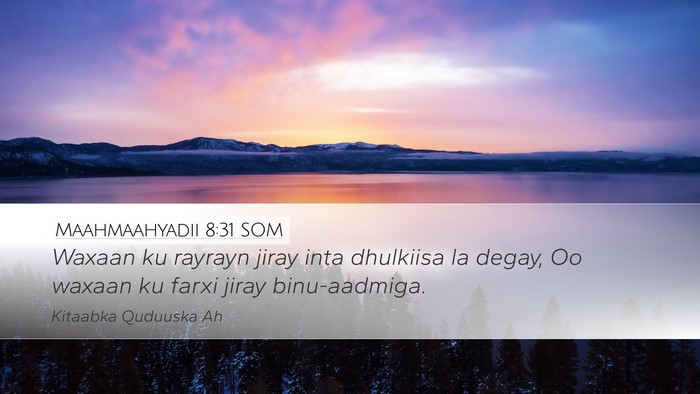 Maahmaahyadii 8:31 SOM Bible Verse Image