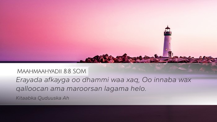 Maahmaahyadii 8:8 SOM Desktop Wallpaper - Erayada afkayga oo dhammi waa xaq, Oo innaba wax - Desktop Bible Verse Wallpaper