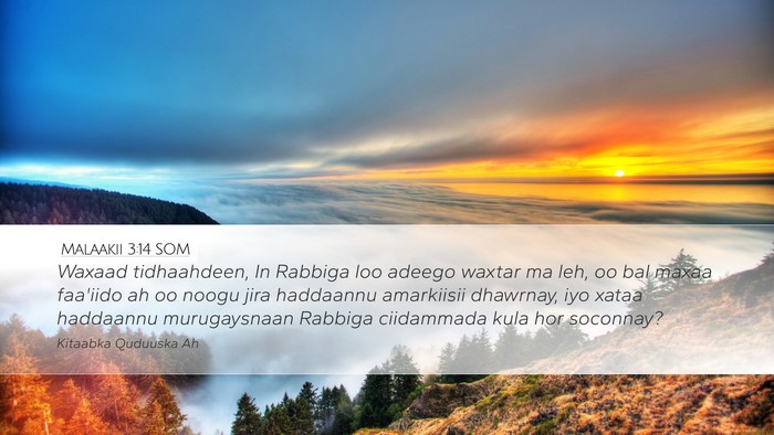 Malaakii 3:14 SOM Bible Verse Image