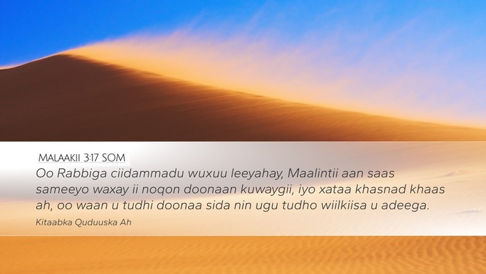 Malaakii 3:17 SOM Bible Verse Image