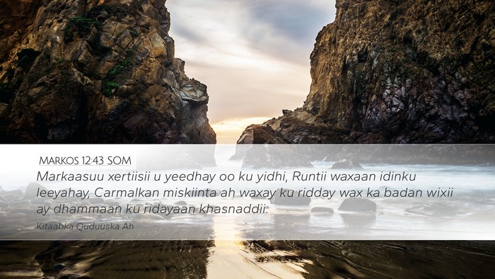 Markos 12:43 SOM Bible Verse Image
