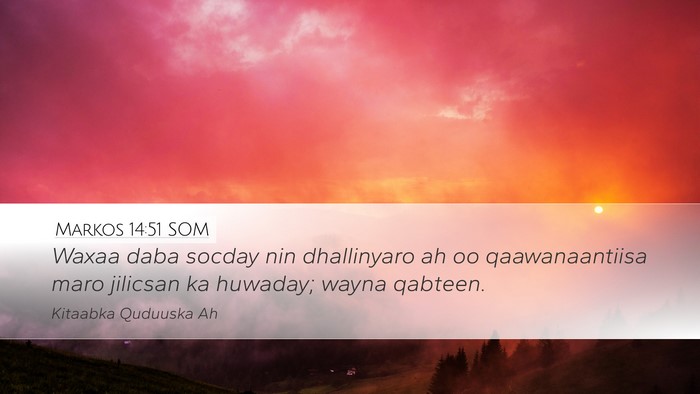 Markos 14:51 SOM Desktop Wallpaper - Waxaa daba socday nin dhallinyaro ah oo - Desktop Bible Verse Wallpaper