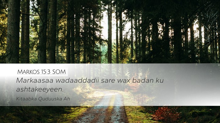 Markos 15:3 SOM Bible Verse Image