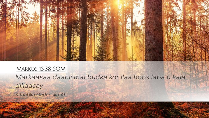 Markos 15:38 SOM Desktop Wallpaper - Markaasaa daahii macbudka kor ilaa hoos laba u - Desktop Bible Verse Wallpaper