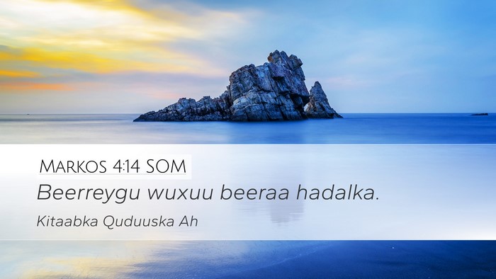 Markos 4:14 SOM Bible Verse Image