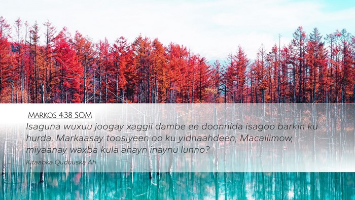 Markos 4:38 SOM Bible Verse Image