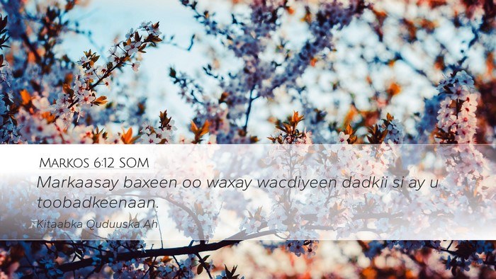 Markos 6:12 SOM Desktop Wallpaper - Markaasay baxeen oo waxay wacdiyeen dadkii si ay - Desktop Bible Verse Wallpaper