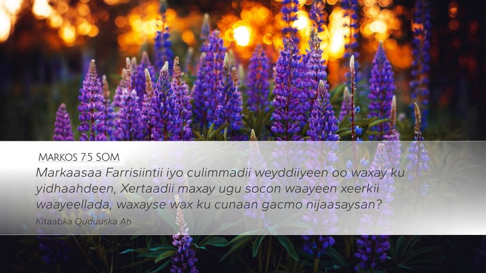 Markos 7:5 SOM Bible Verse Image