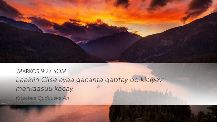 Markos 9:27 SOM Bible Verse Image