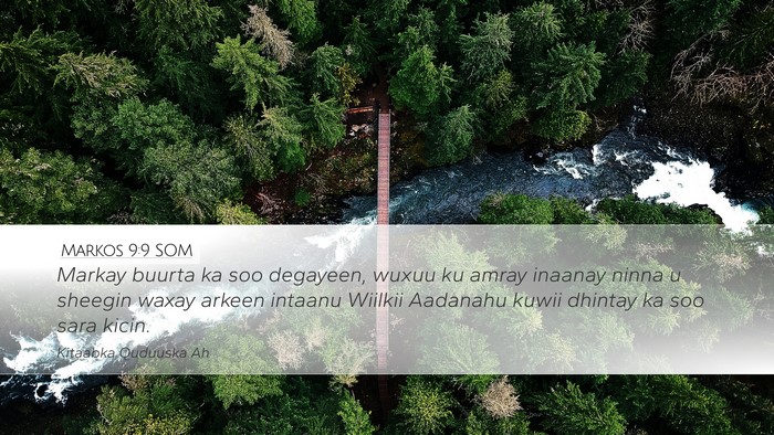 Markos 9:9 SOM Bible Verse Image