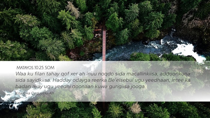 Matayos 10:25 SOM Bible Verse Image