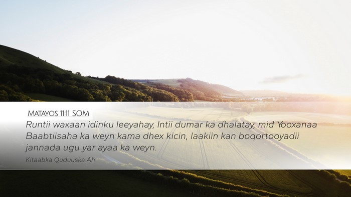 Matayos 11:11 SOM Bible Verse Image