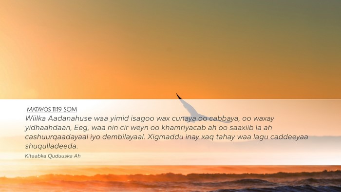 Matayos 11:19 SOM Bible Verse Image