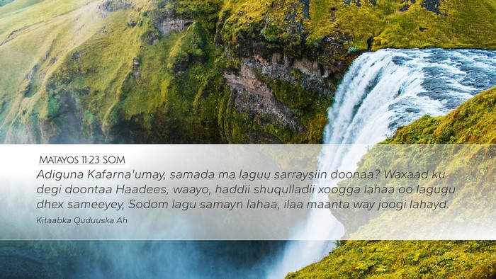 Matayos 11:23 SOM Bible Verse Image