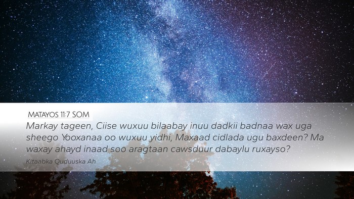 Matayos 11:7 SOM Bible Verse Image