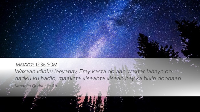 Matayos 12:36 SOM Bible Verse Image