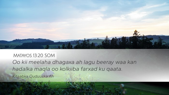 Matayos 13:20 SOM Bible Verse Image