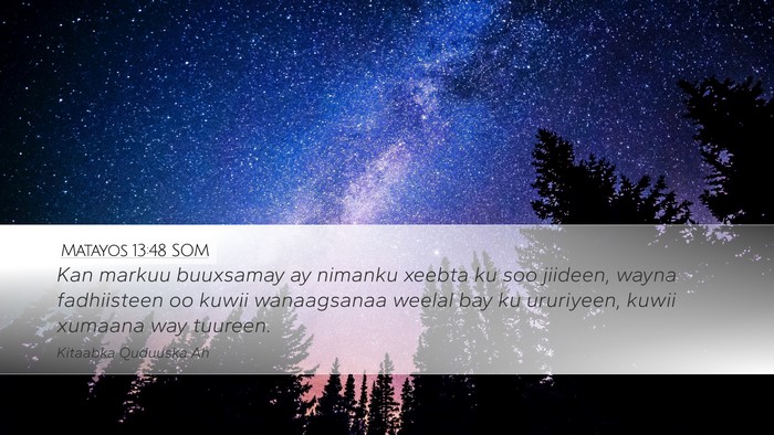 Matayos 13:48 SOM Desktop Wallpaper - Kan markuu buuxsamay ay nimanku xeebta ku soo - Desktop Bible Verse Wallpaper