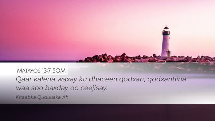 Matayos 13:7 SOM Bible Verse Image