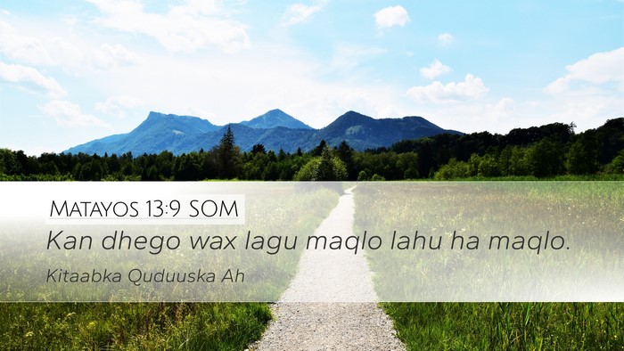 Matayos 13:9 SOM Bible Verse Image