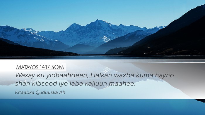 Matayos 14:17 SOM Desktop Wallpaper - Waxay ku yidhaahdeen, Halkan waxba kuma hayno - Desktop Bible Verse Wallpaper