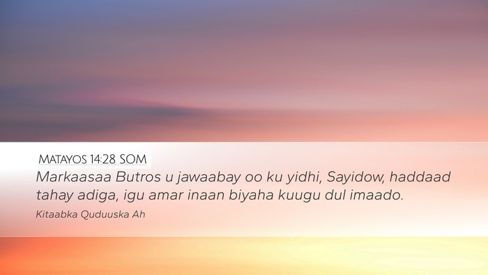 Matayos 14:28 SOM Desktop Wallpaper - Markaasaa Butros u jawaabay oo ku yidhi, Sayidow, - Desktop Bible Verse Wallpaper