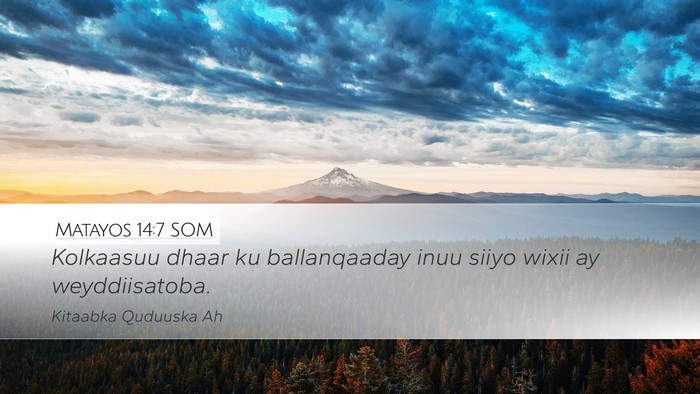 Matayos 14:7 SOM Bible Verse Image