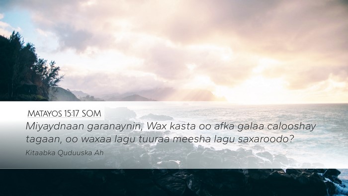 Matayos 15:17 SOM Bible Verse Image