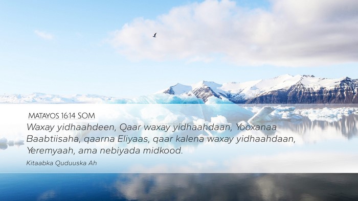 Matayos 16:14 SOM Bible Verse Image