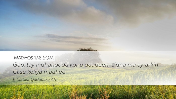 Matayos 17:8 SOM Desktop Wallpaper - Goortay indhahooda kor u qaadeen, cidna ma ay - Desktop Bible Verse Wallpaper