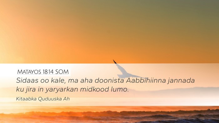 Matayos 18:14 SOM Bible Verse Image