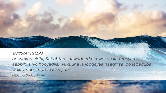 Matayos 19:5 SOM Desktop Wallpaper - oo wuxuu yidhi, Sababtaas aawadeed nin wuxuu ka - Desktop Bible Verse Wallpaper