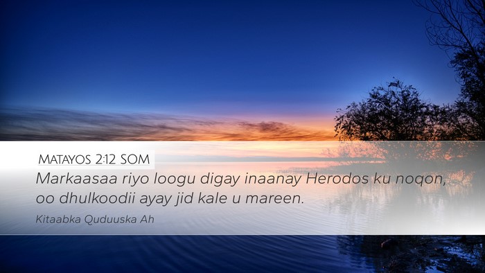 Matayos 2:12 SOM Bible Verse Image