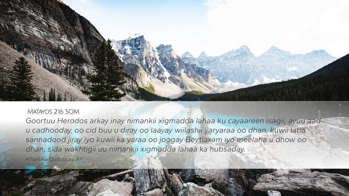 Matayos 2:16 SOM Bible Verse Image