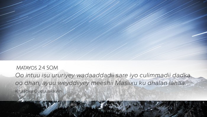 Matayos 2:4 SOM Desktop Wallpaper - Oo intuu isu ururiyey wadaaddadii sare iyo - Desktop Bible Verse Wallpaper
