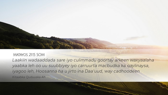 Matayos 21:15 SOM Bible Verse Image